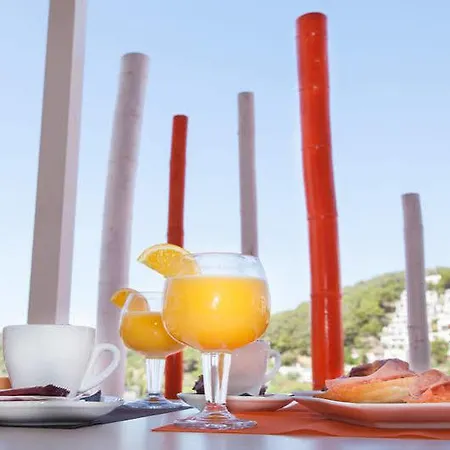 Typic Oasis Sa Tanca Hotel